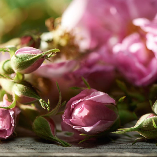 De roos - onmisbaar in pure cosmetica!