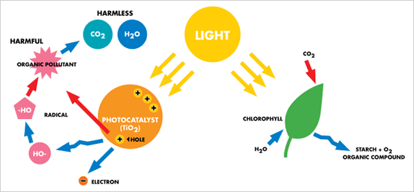 Titanium dioxide in cosmetica - veilig of niet?