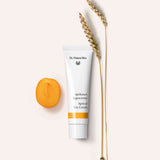 dr Hauschka | Abrikozen dagcreme  | INDISHA