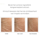 INIKA Organic | Pure Perfection Primer Minder Rimpels | INDISHA