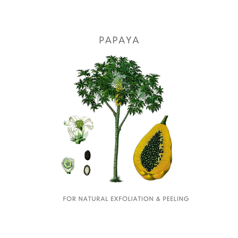 Abloom Enzym Peeling - INDISHA - het alternatief voor een scrub of chemische peeling - Papaya