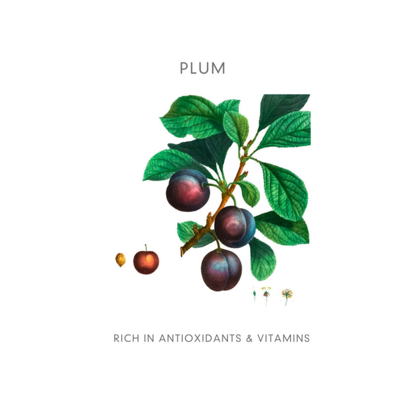 Abloom Enzym Peeling - INDISHA - het alternatief voor een scrub of chemische peeling - Pruim