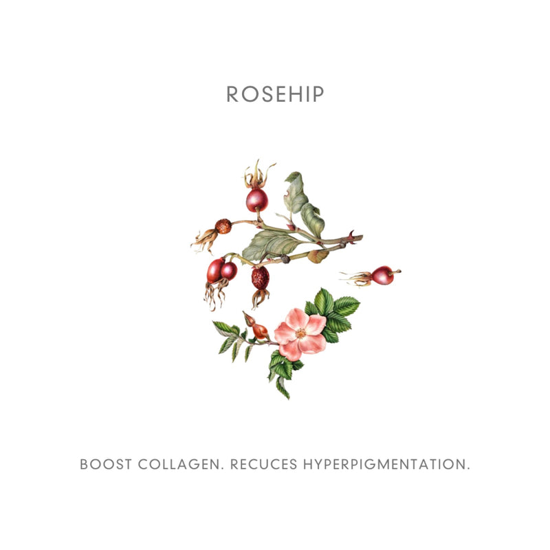 Abloom Miracle OIl - Ingredienten -Rosehip -boost collageen - INDISHA