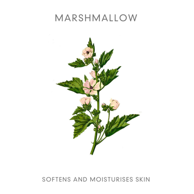 Abloom Slow Skincare Soothing Lotion Marshmallow ingredient - INDISHA