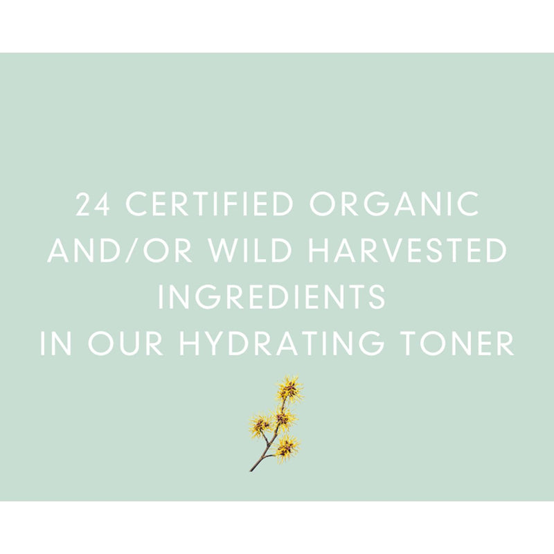 Abloom Organic Hydrating Toner ingredienten - INDISHA
