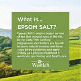 WestLab-Epsom-bitter-zout-rijk aan magnesium. Ontspant spieren na sporten. Wat is Epsom zout?