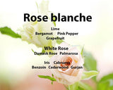 Sharini-biologische-parfums-Rose-blanche-noten