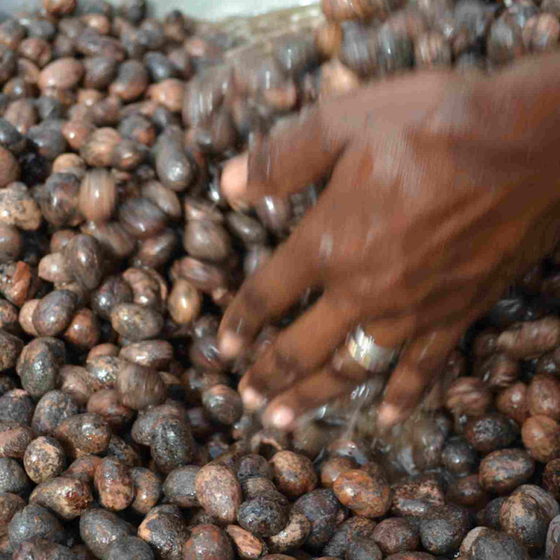 Werfzeep Savannezeep biologisch & fair trade | INDISHA