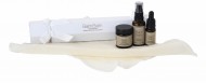 BalmBalm-frankincense-facial-range-gift-cracker