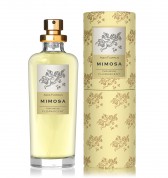 Florascent-parfum-mimosa