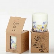 Munio-Candela-pure-sojawax-geurkaars-wildflowers50-box