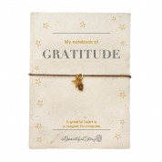 A-Beautiful-Story-storybook-Gratitude